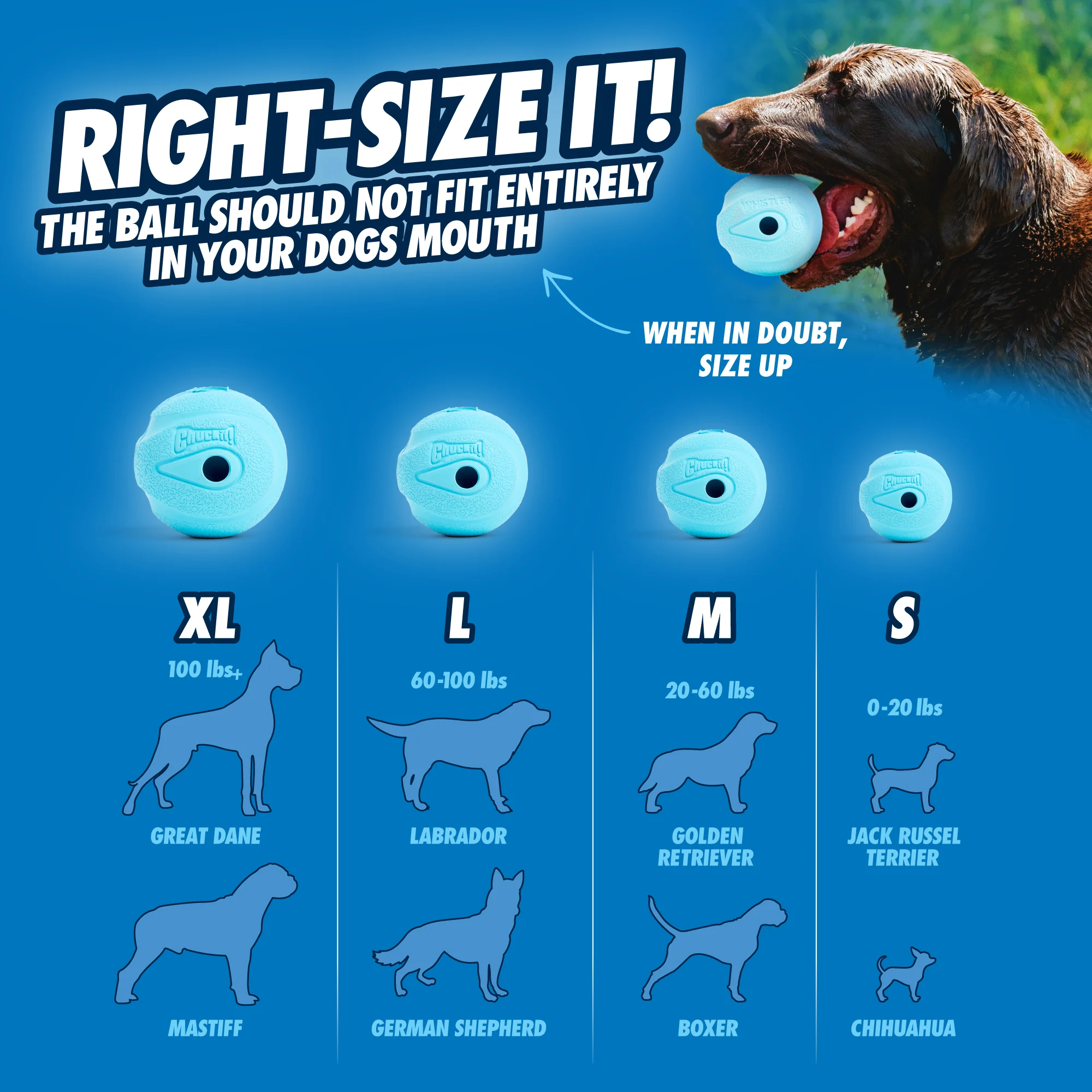 Balles pour chien avec sifflement S, ø 5 cm, 2 pièces – Chuckit! The Whistler – Image 6