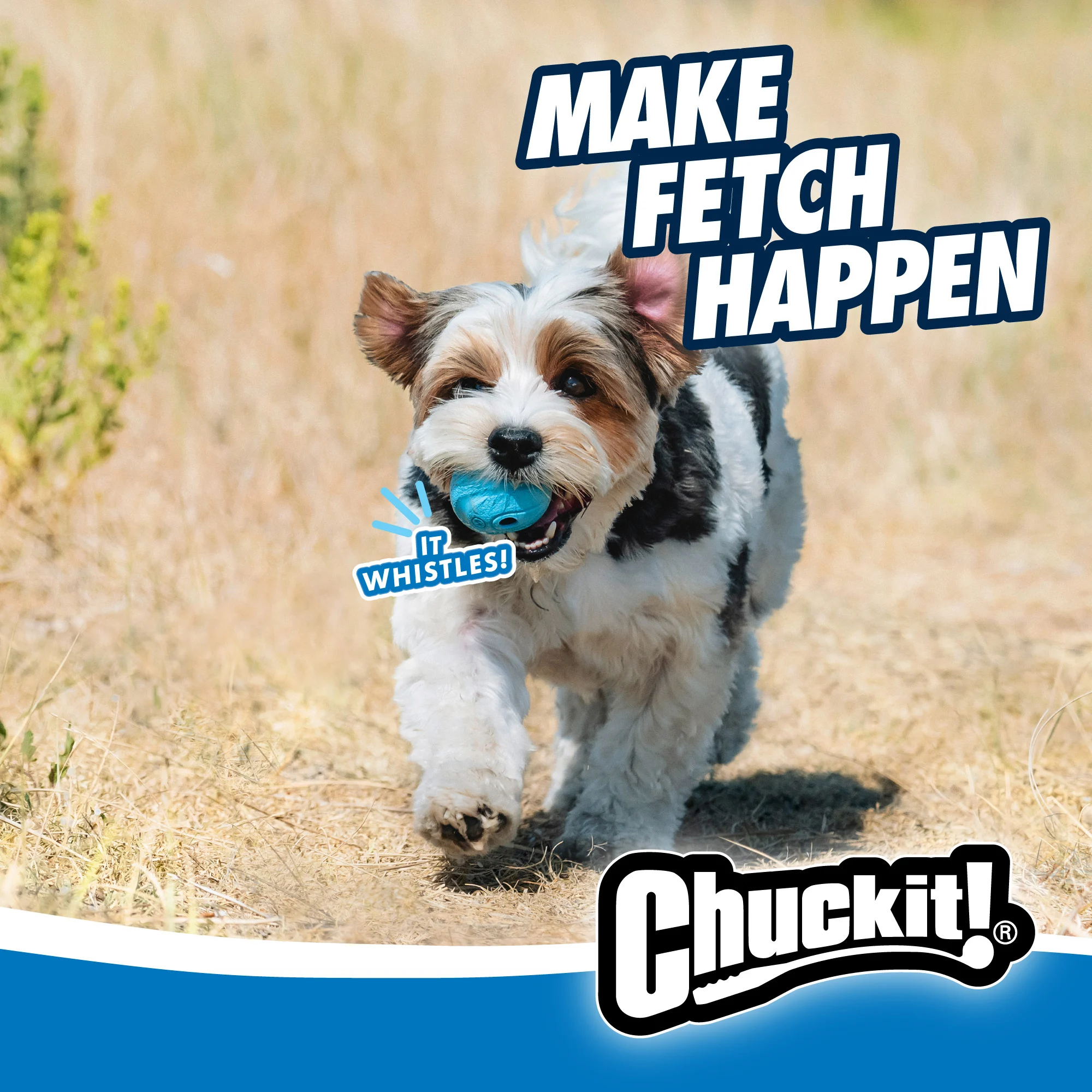 Balle pour chien avec sifflement M, ø 6 cm, 2 pièces – Chuckit! The Whistler – Image 5