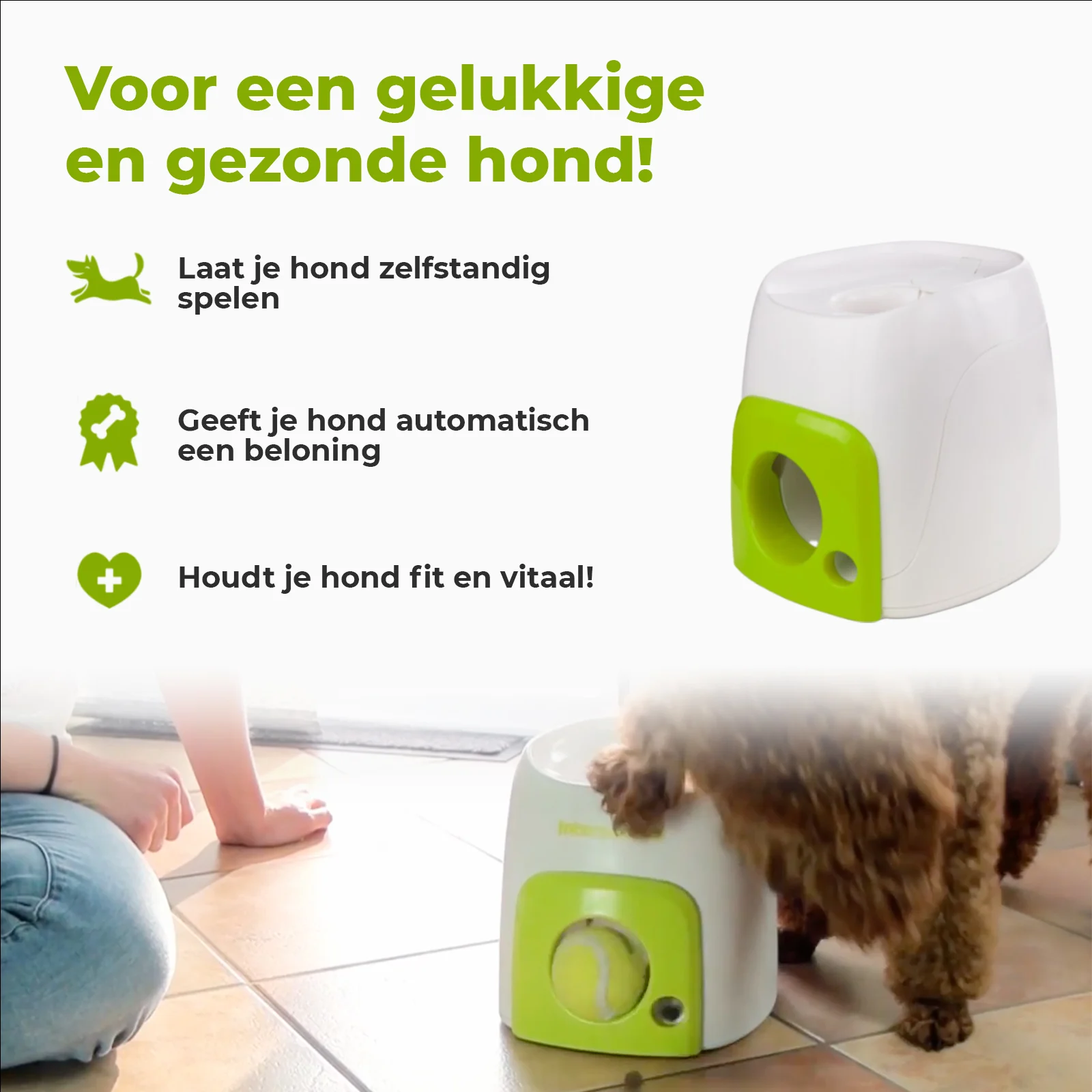 Jouet distributeur de récompenses pour chien avec balle de tennis – AFP Interactives Fetch'N'Treat Original – Image 4