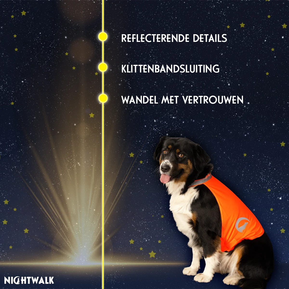 Gilet de sécurité pour chien avec détails réfléchissants et fermeture auto agrippante, orange, L – Nightwalk Safety Vest – Image 3
