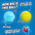 Balle pour chien en caoutchouc recyclé, rebondissante, 2 pièces – Chuckit! Rebounce Fetch Ball M – Image 3