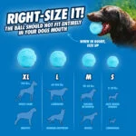 Balle pour chien en caoutchouc recyclé, rebondissante, 2 pièces – Chuckit! Rebounce Fetch Ball M – Image 6