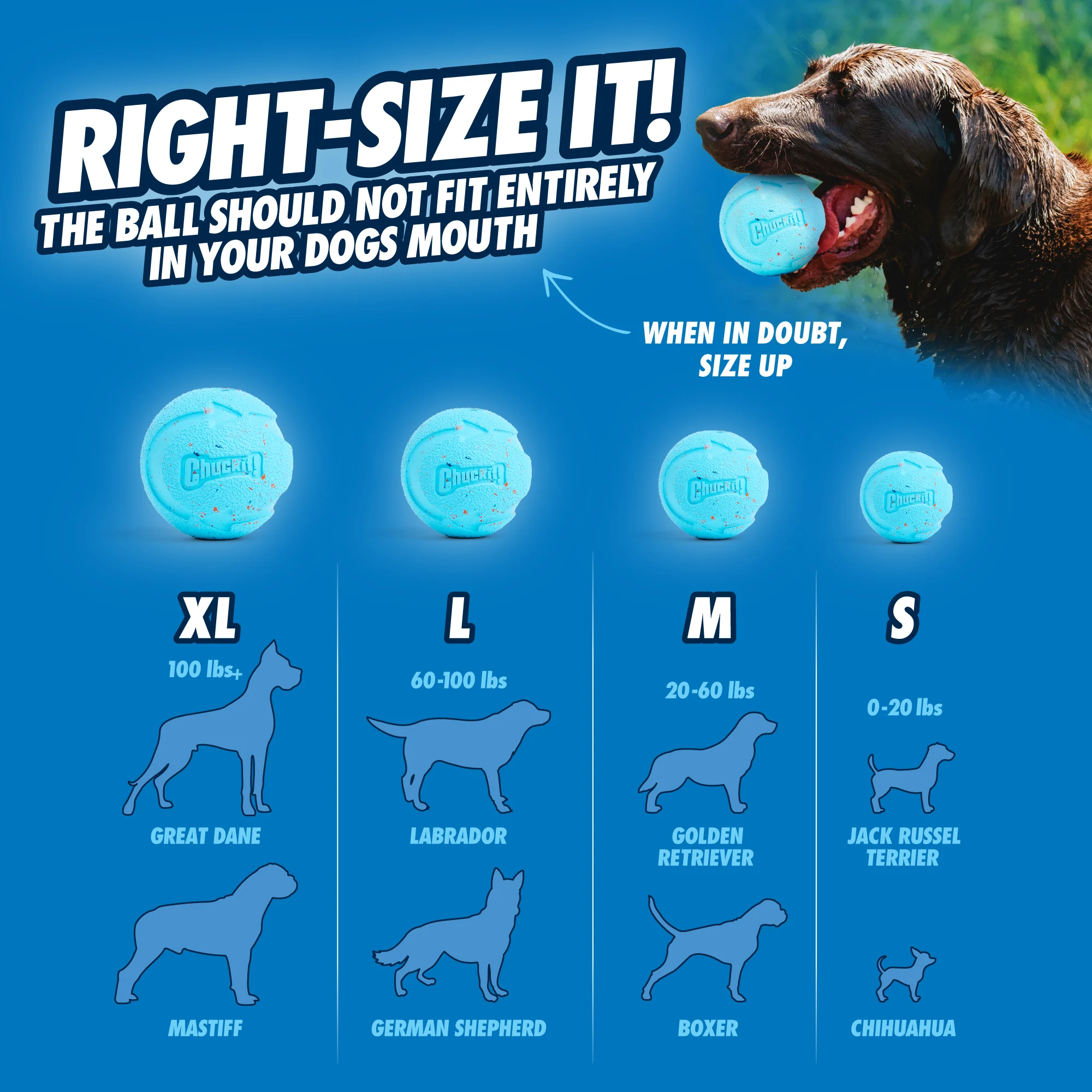 Balle pour chien en caoutchouc recyclé, rebondissante, 2 pièces – Chuckit! Rebounce Fetch Ball M – Image 6