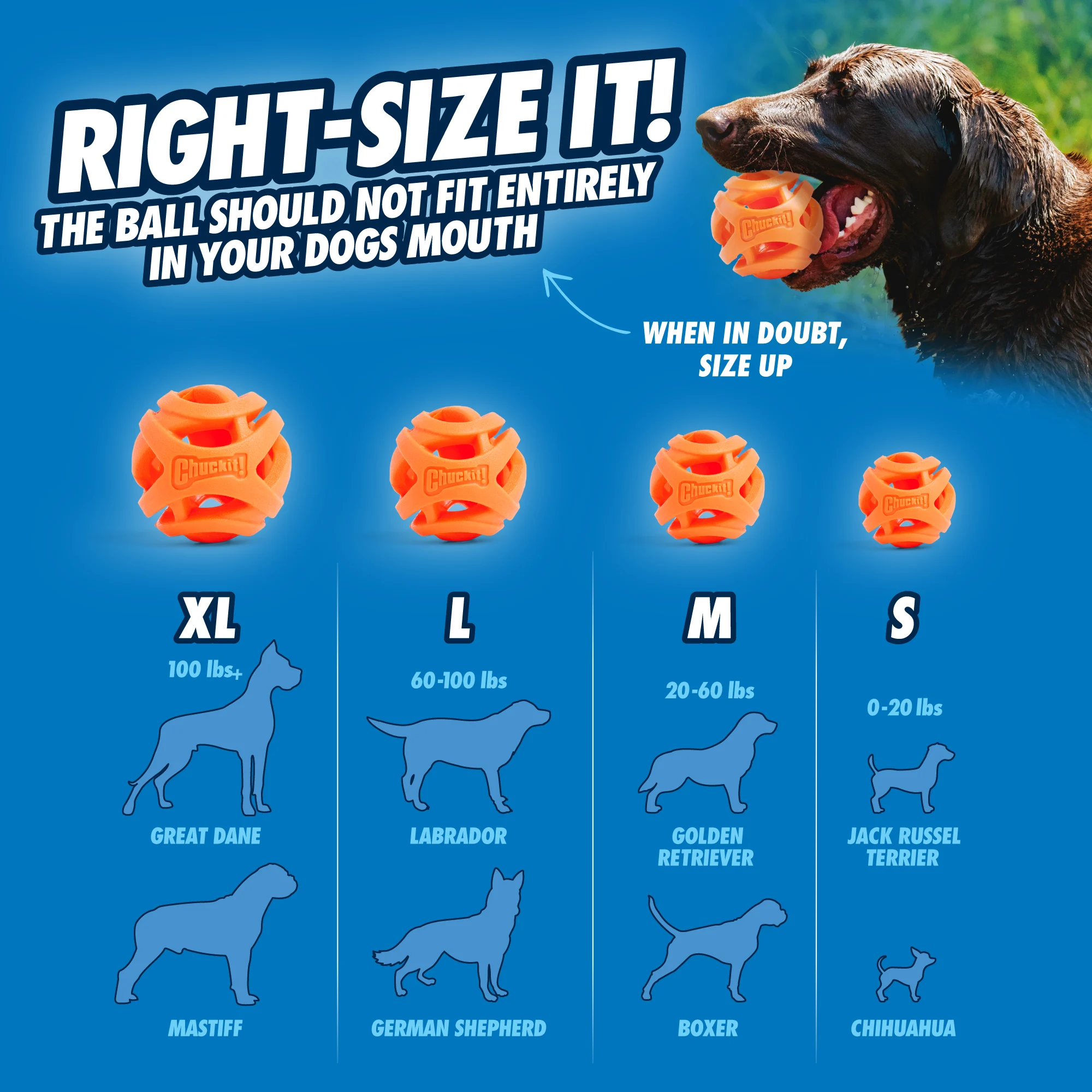 Balle pour chien à rapporter, flottante, Ø 6 cm, 2 pièces – Chuckit! Air Fetch Ball – Image 4