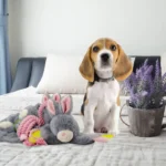 Peluche pour chien, lapin en peluche avec couineur pour chiots – Bunny Puppy Crunchy Chew – Image 3
