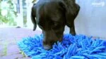 Tapis de fouille pour chiens avec bandes de tissu, gris, 44 x 28 cm – Eat Slow Live Longer Play Mat – Image 4