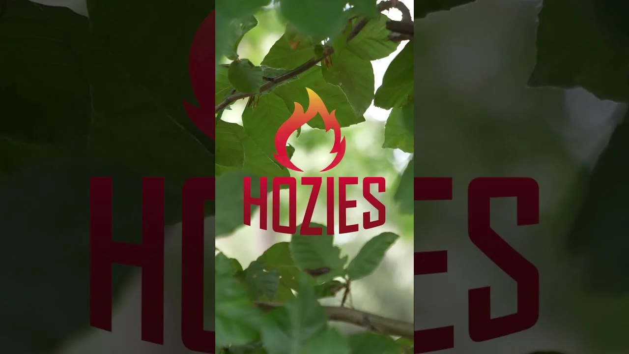 Jouet pour chien en tuyau d’incendie – Hozies Trixy Trumpet S – Image 2