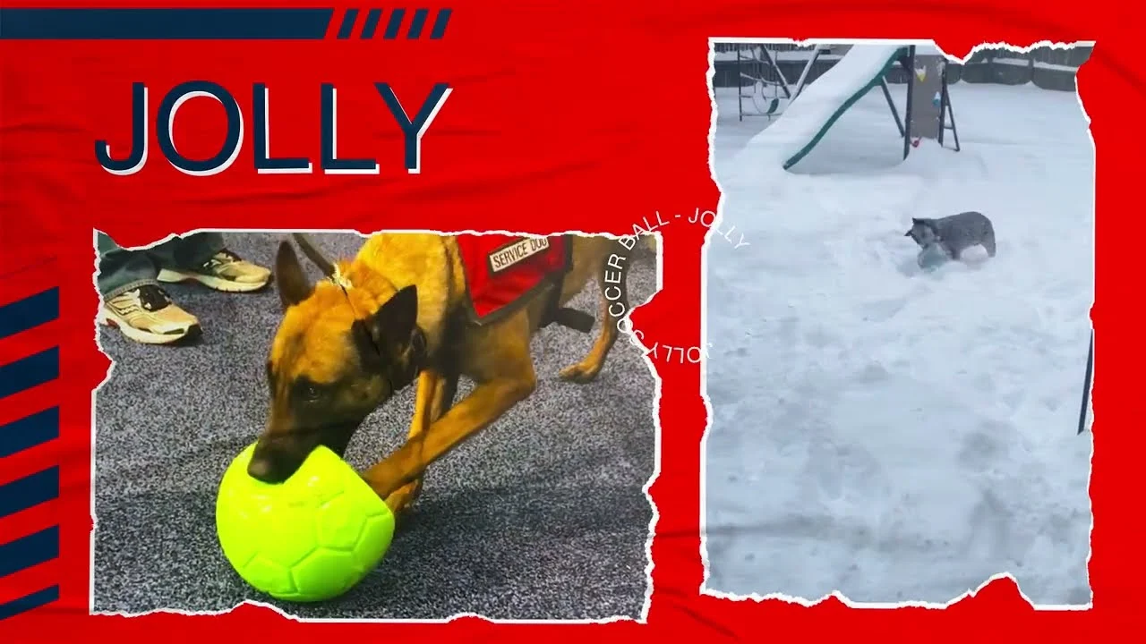 Balle de rapport pour chien, orange et blanc, 15 cm – Jolly Pets Jolly Soccer Ball – Image 5