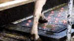 Tapis de pulvérisation pour sabots avec arrosage automatique – Vink – Image 6