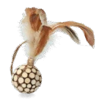 Balle pour chat avec plumes et MADNIP – Addicted! Ball with Feathers – Image 2