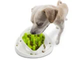 Labyrinthe alimentaire pour chiens avec 2 variantes – AFP Interactives - Food Maze – Image 5