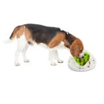 Labyrinthe alimentaire pour chiens avec 2 variantes – AFP Interactives - Food Maze – Image 2