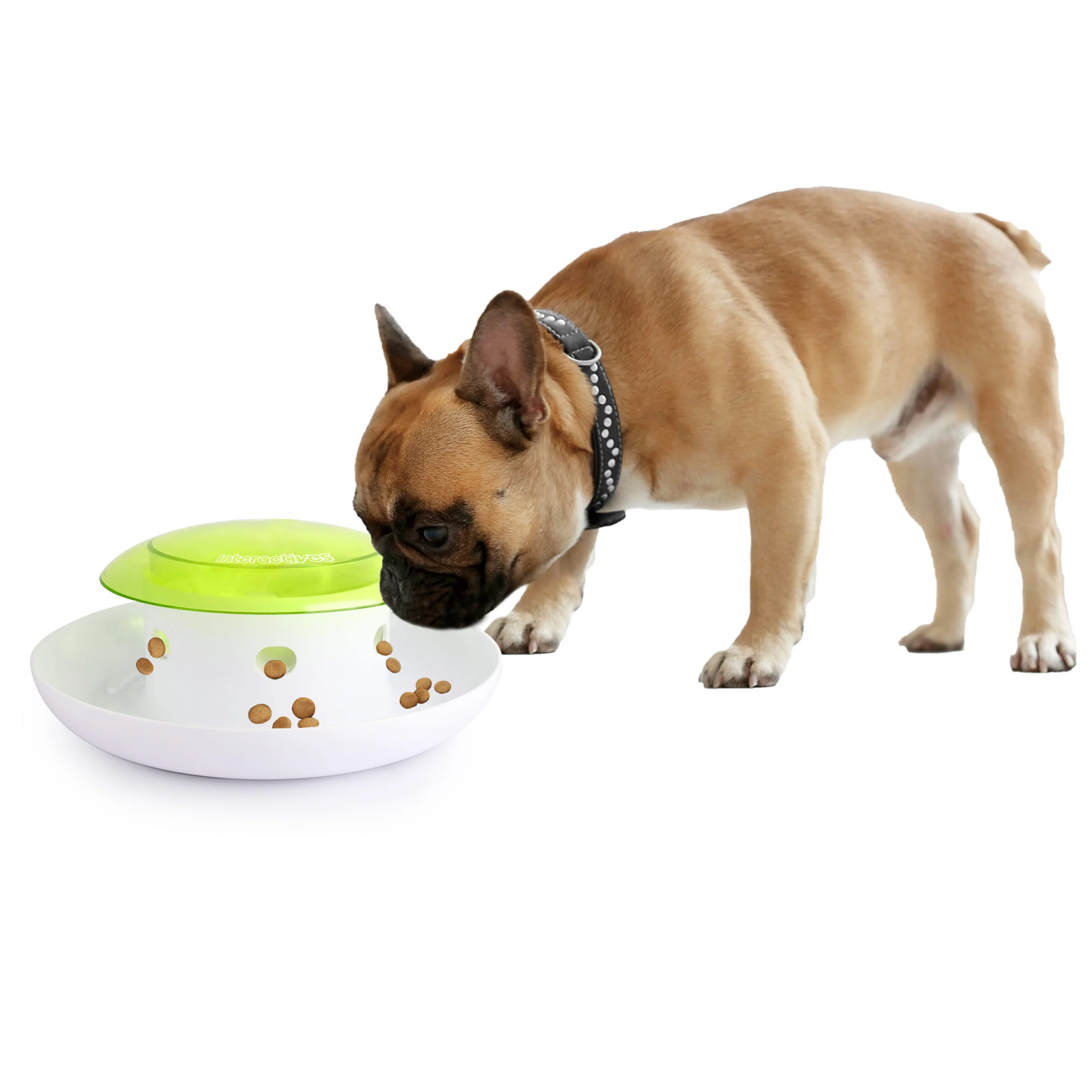 Distributeur de nourriture pour chiens à bouton poussoir avec réceptacle – AFP Interactives Push 4 Meal Dispener – Image 4