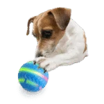 Balle pour chien lumineuse et en mouvement, rechargeable par USB – AFP Interactives Motion Activated Action Ball – Image 4