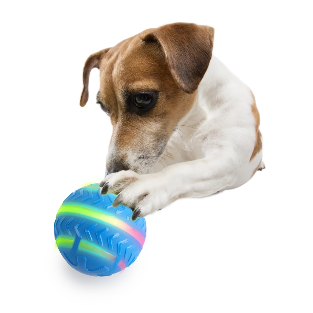 Balle pour chien lumineuse et en mouvement, rechargeable par USB – AFP Interactives Motion Activated Action Ball – Image 4