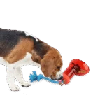 Distributeur de nourriture pour chien en forme de botte avec corde, 14 x 14 cm – AFP Doggies' Shoes Big Boot Dispenser L – Image 5