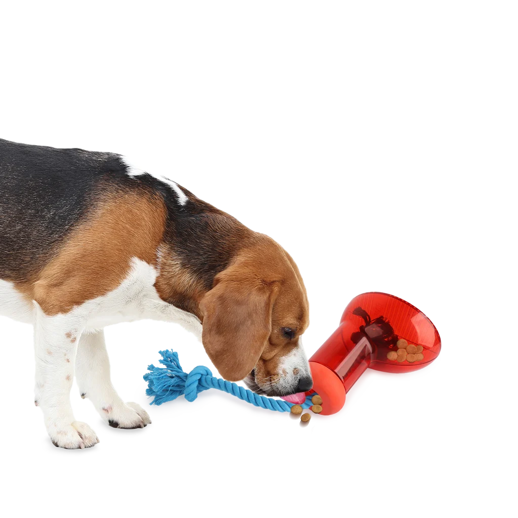 Distributeur de nourriture pour chien en forme de botte avec corde, 14 x 14 cm – AFP Doggies' Shoes Big Boot Dispenser L – Image 5