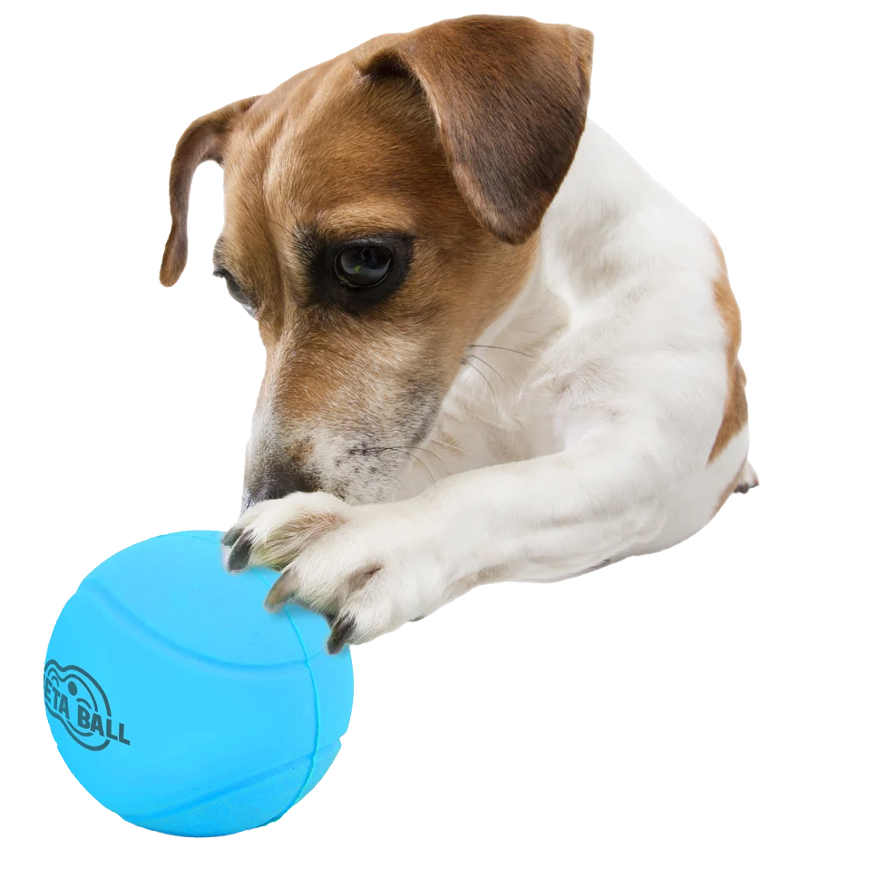 Balle pour chien en caoutchouc avec cliquetis, ø 6,3 cm – AFP Meta Ball Bounce & Rattle Ball – Image 3