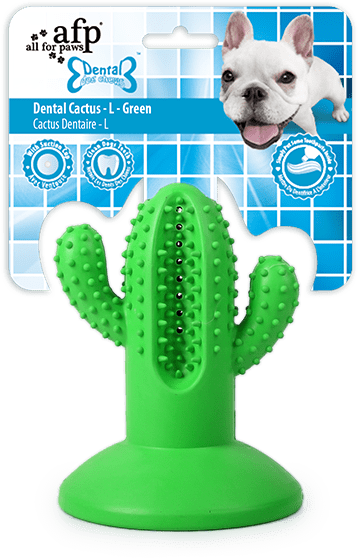 Jouet à mâcher en caoutchouc en forme de cactus avec ventouse, taille L, vert – AFP Dental Chews - Dental Cactus