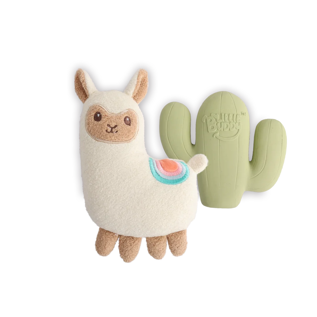 Set de jouets pour chiot avec peluche et couineurs, 2 pièces – AFP Little Buddy 2-Pack Toy Fiesta – Image 2