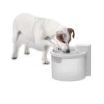 Fontaine à eau pour chien, sans fil avec détecteur de mouvement, 2,5 l – AFP Lifestyle 4 Pets Wireless Fountain – Image 2