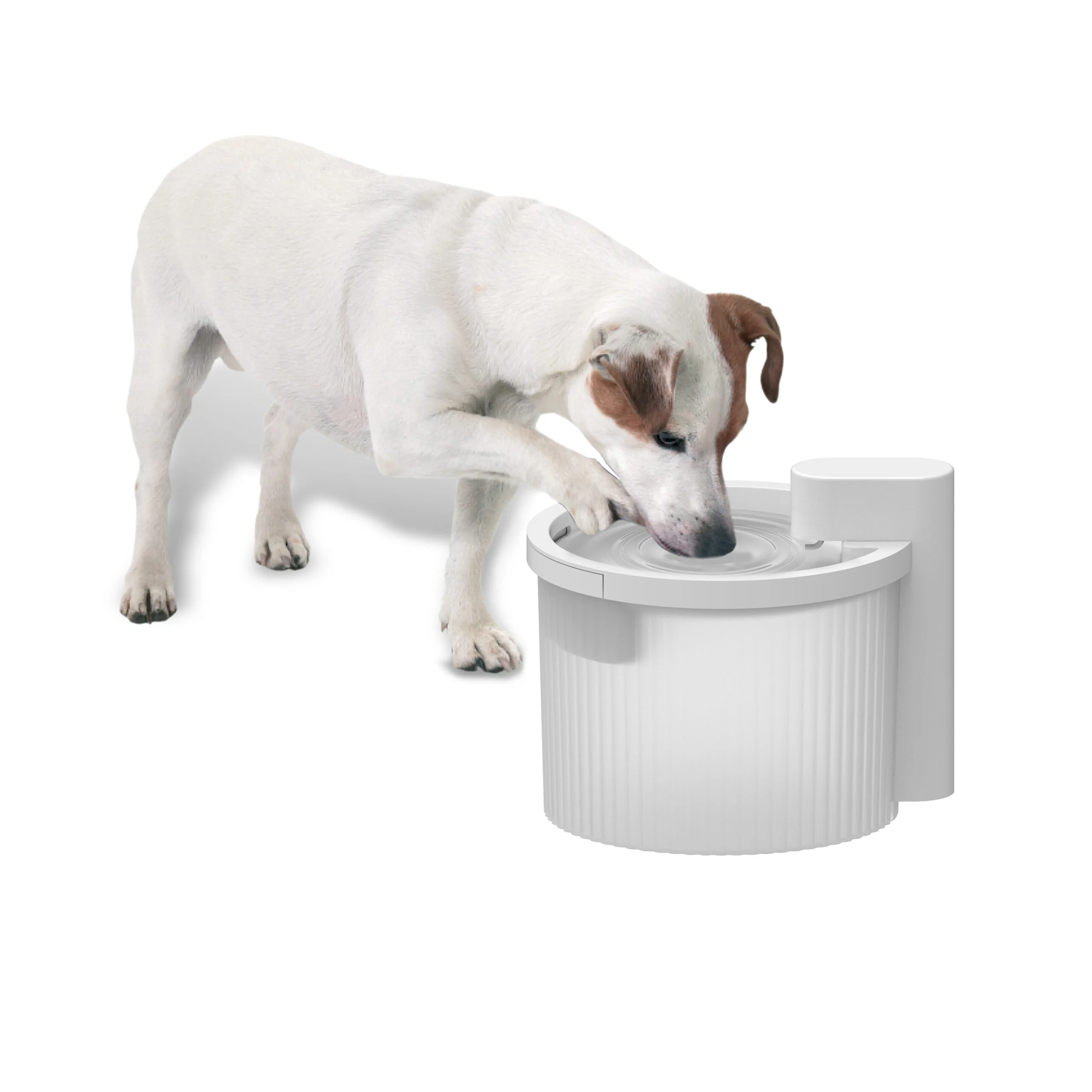 Fontaine à eau pour chien, sans fil avec détecteur de mouvement, 2,5 l – AFP Lifestyle 4 Pets Wireless Fountain – Image 2