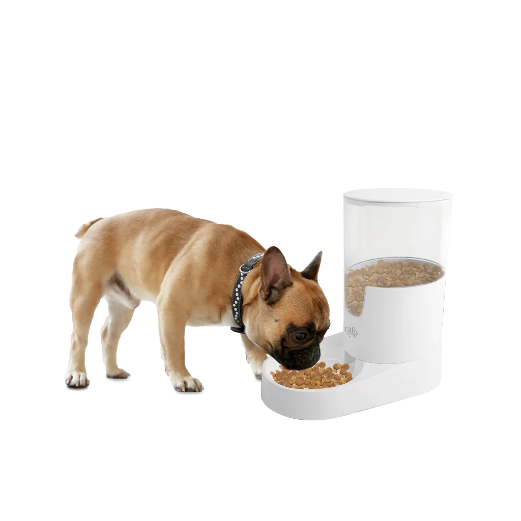 Distributeur automatique de croquettes pour chien avec réservoir, 3 l – AFP Lifestyle 4 Pets Gravity Pet Food Feeder – Image 2