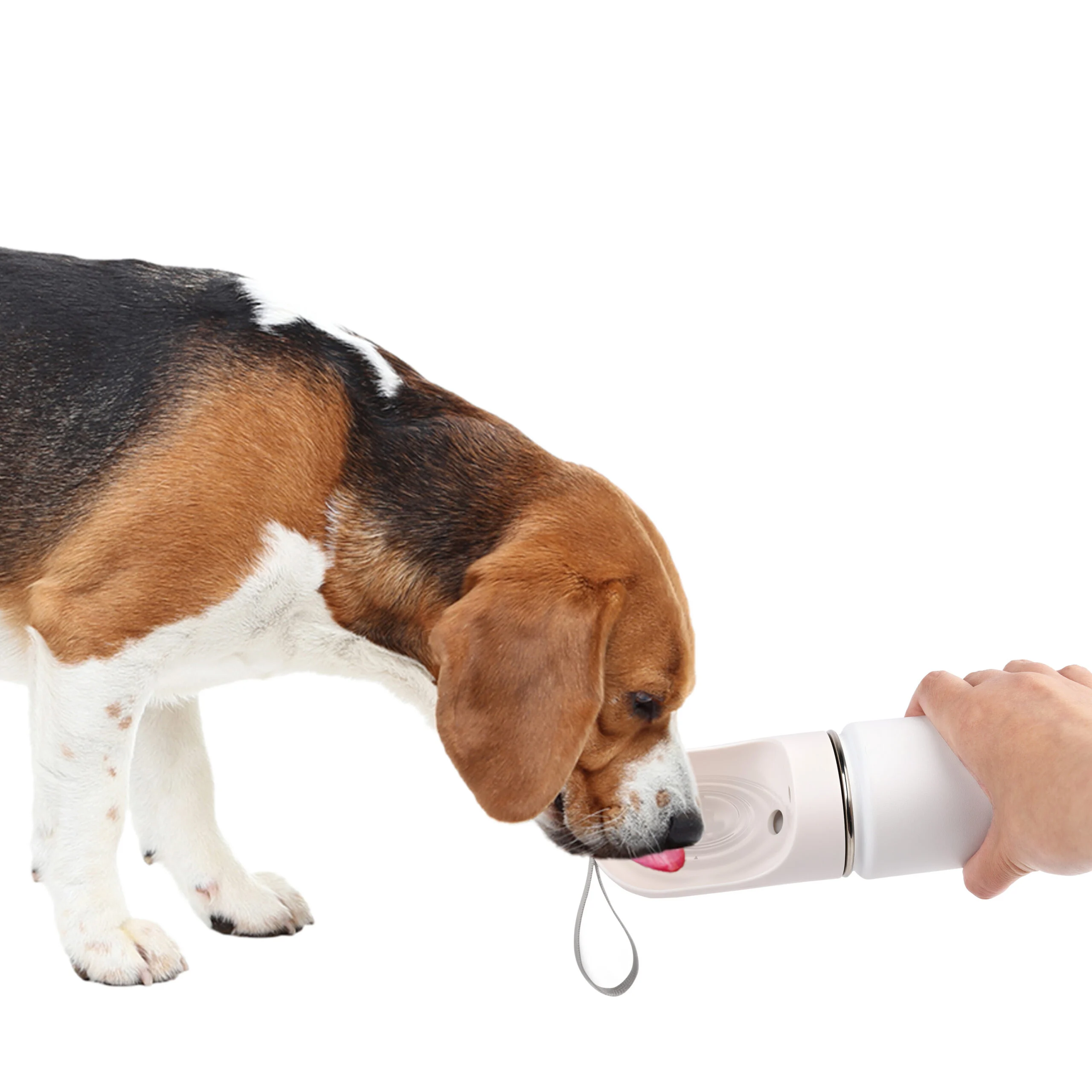 Gourde pour chien avec écuelle et compartiment à friandises, 414 ml – AFP 2 In 1 Stainless Drinking Bottle – Image 5