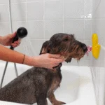 Canard de bain pour chien avec ventouse et picots en silicone, 13 x 10 cm – AFP Calm Paws - Bath Anti-anxiety Duck – Image 2