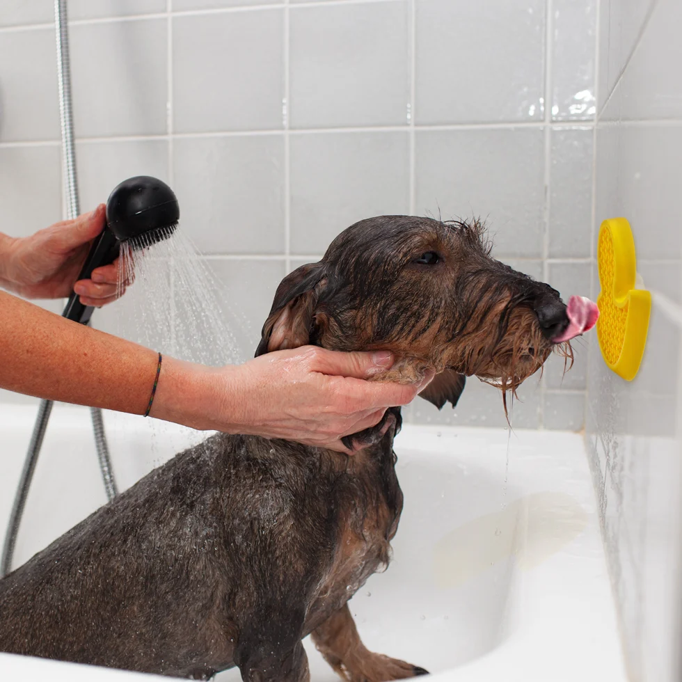 Canard de bain pour chien avec ventouse et picots en silicone, 13 x 10 cm – AFP Calm Paws - Bath Anti-anxiety Duck – Image 2
