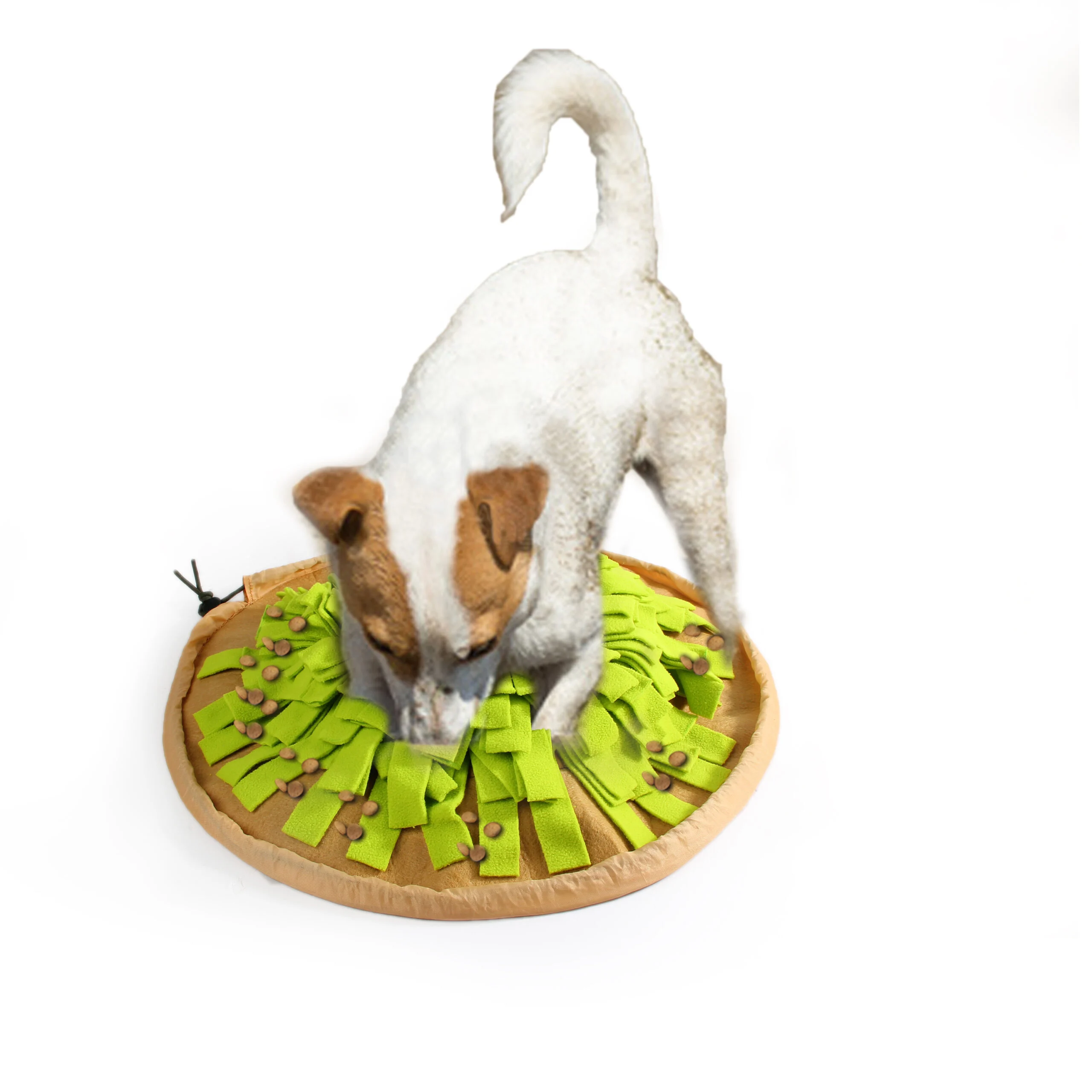 Tapis de fouille pour chiens pliable, ø 50 cm – AFP Dig It - Foldable Treat Mat – Image 5