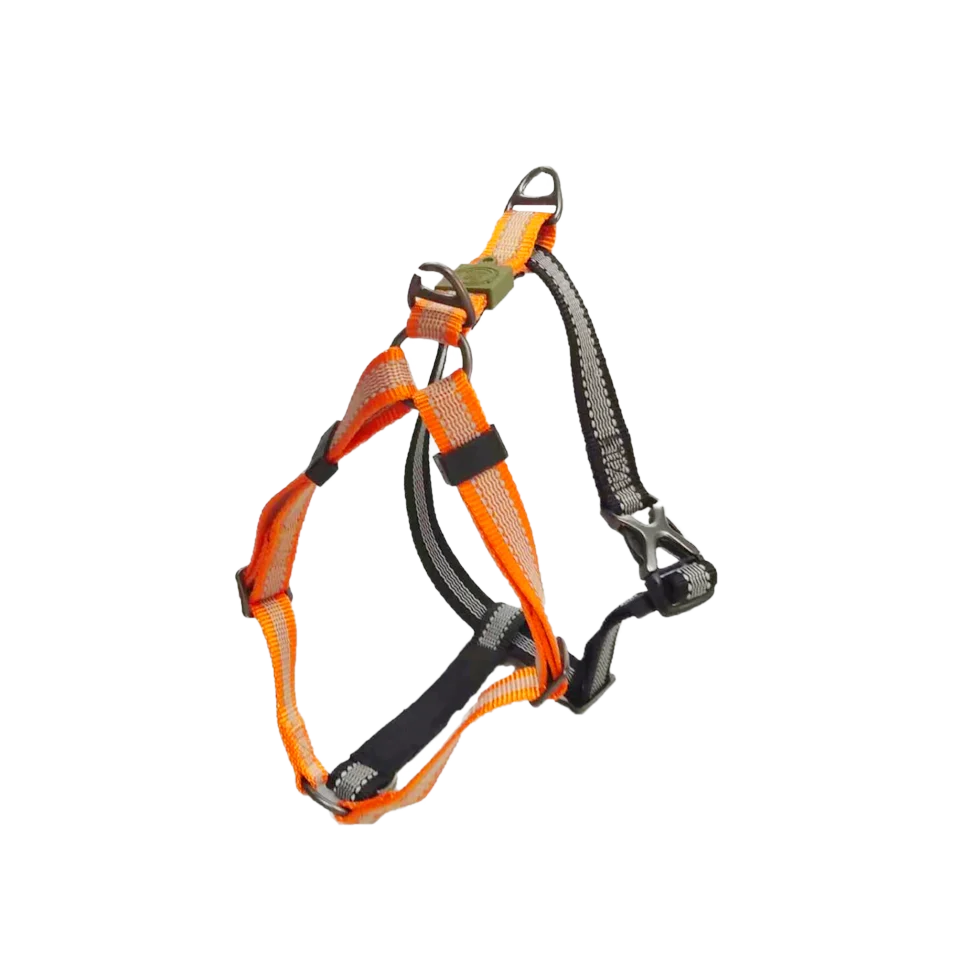 Harnais anti traction pour chien, déperlant, mandarine, taille L, 62 à 80 cm – AFP Off Street – Image 2