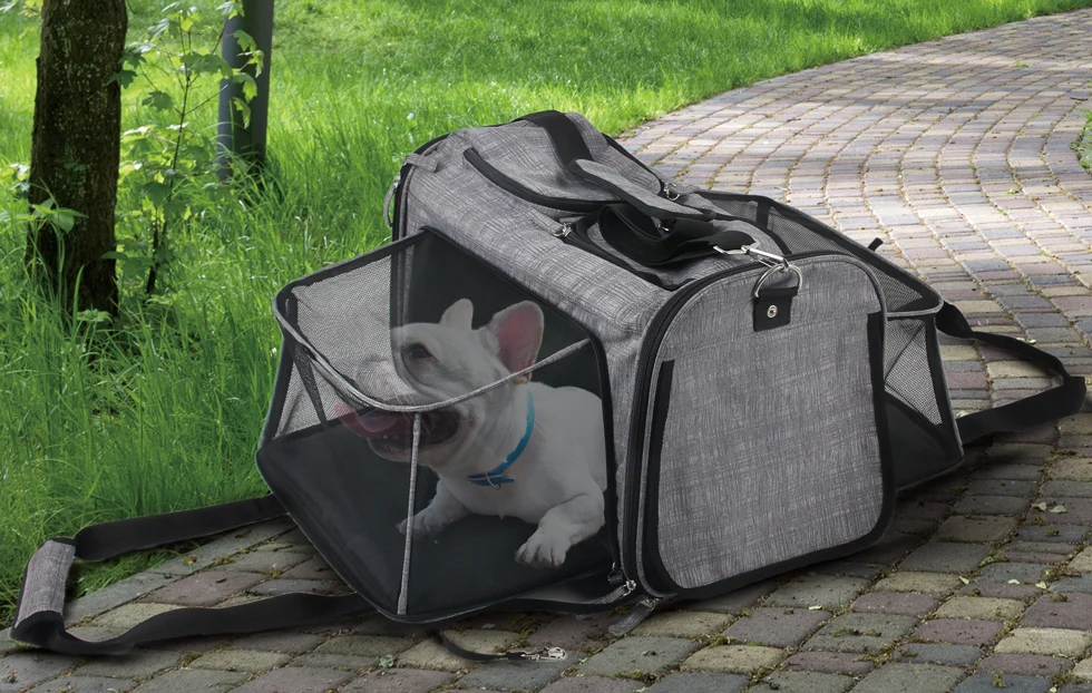 Chariot de transport pour chien avec fonction sac, jusqu’à 11 kg – AFP Travel Dog - Rolling Pet Carrier – Image 2