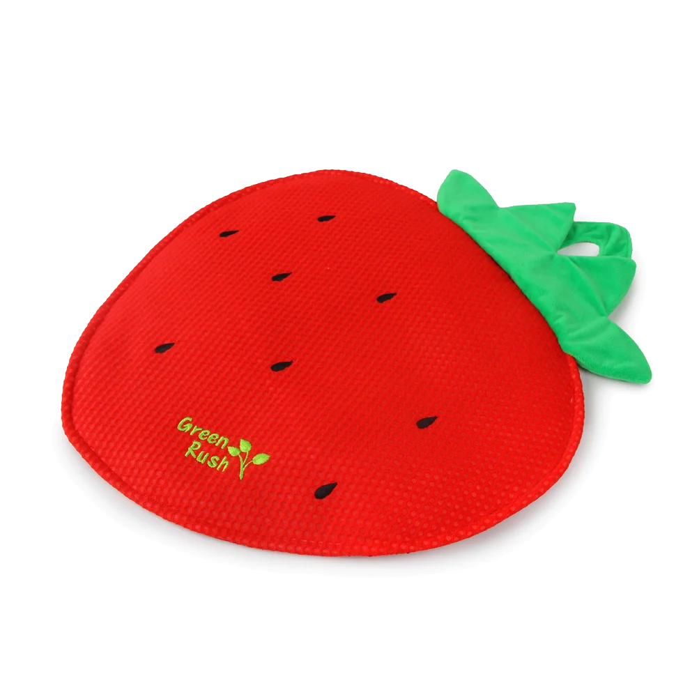 Tapis de jeu pour chat en forme de fraise avec herbe à chat – AFP Green Rush - Play Mat Aardbei – Image 2