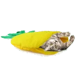 Tapis de jeu pour chat en forme d’ananas avec herbe à chat – AFP Green Rush - Play Mat Ananas – Image 2