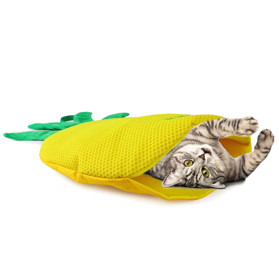 Tapis de jeu pour chat en forme d’ananas avec herbe à chat – AFP Green Rush - Play Mat Ananas – Image 2