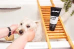 Shampooing pour chiens à pelage blanc et clair, 250 ml – Animology White Wash – Image 2
