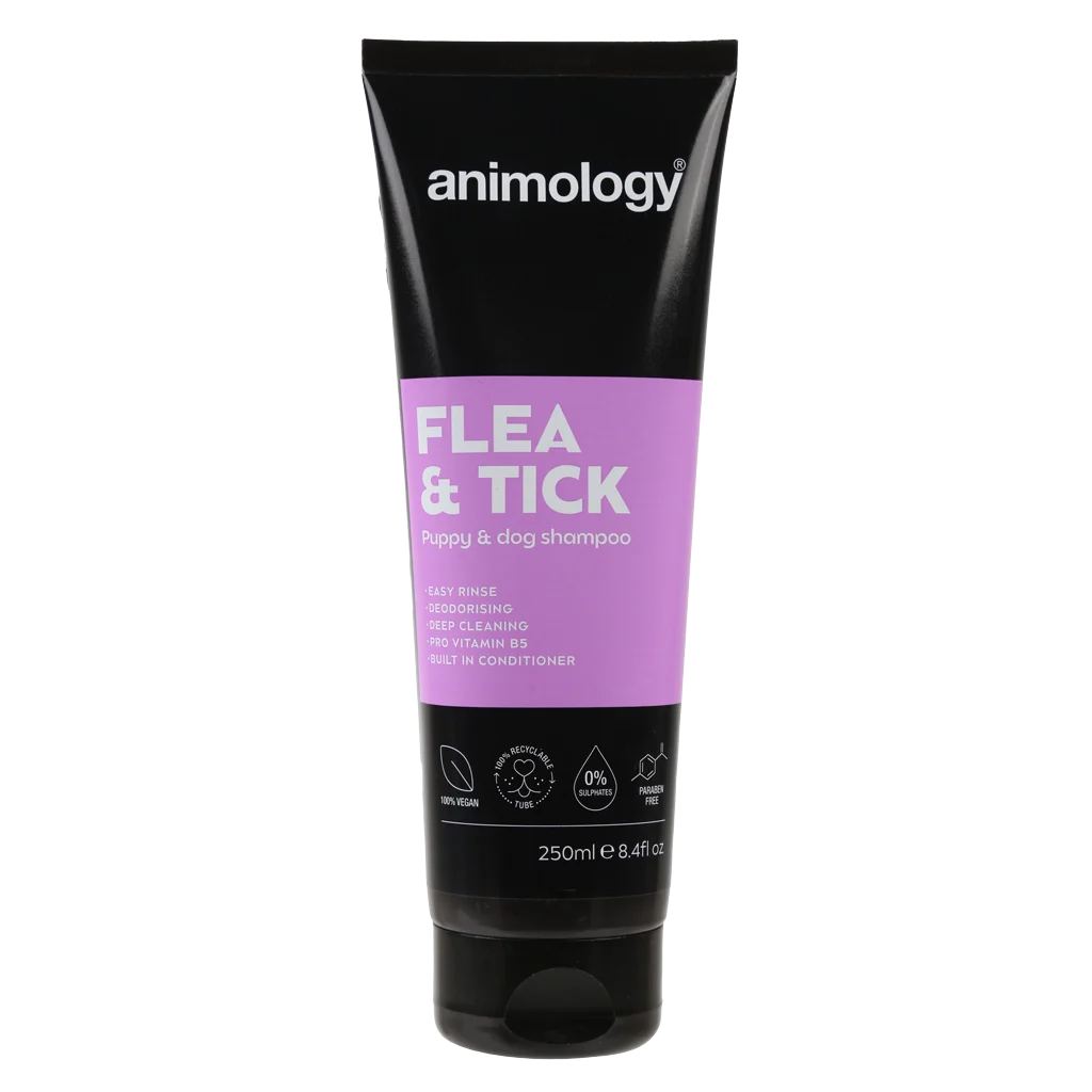 Shampooing pour chien pour éliminer les puces et les tiques par lavage, 250 ml – Animology Flea & Tick – Image 1