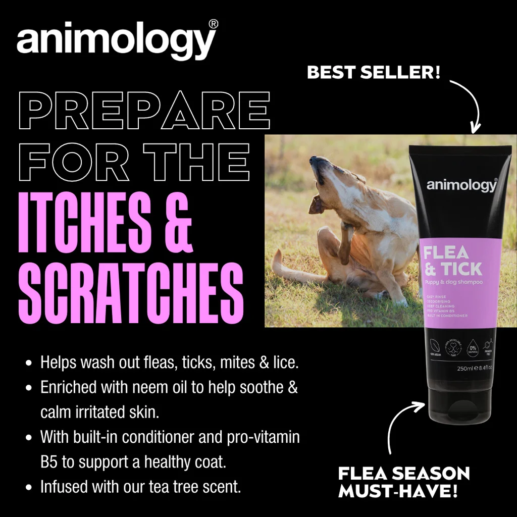 Shampooing pour chien pour éliminer les puces et les tiques par lavage, 250 ml – Animology Flea & Tick – Image 2