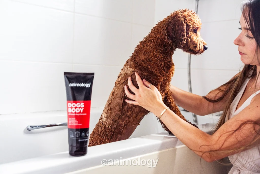 Shampooing doux pour chien avec après shampooing, 250 ml – Animology Dogs Body – Image 3