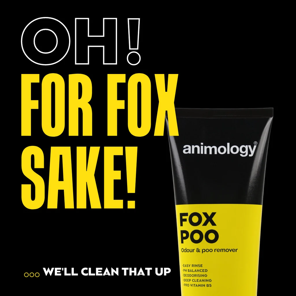 Shampooing pour chien contre les mauvaises odeurs, 250 ml – Animology Fox Poo – Image 2