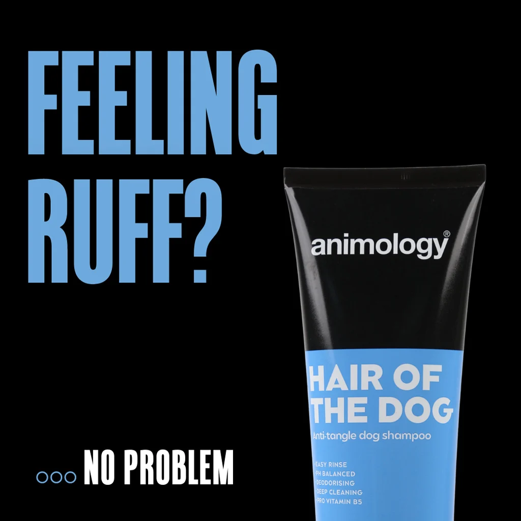 Shampooing démêlant pour chien avec après shampooing, 250 ml – Animology Hair Of The Dog Anti-Tangle – Image 2