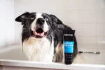 Shampooing démêlant pour chien avec après shampooing, 250 ml – Animology Hair Of The Dog Anti-Tangle – Image 3