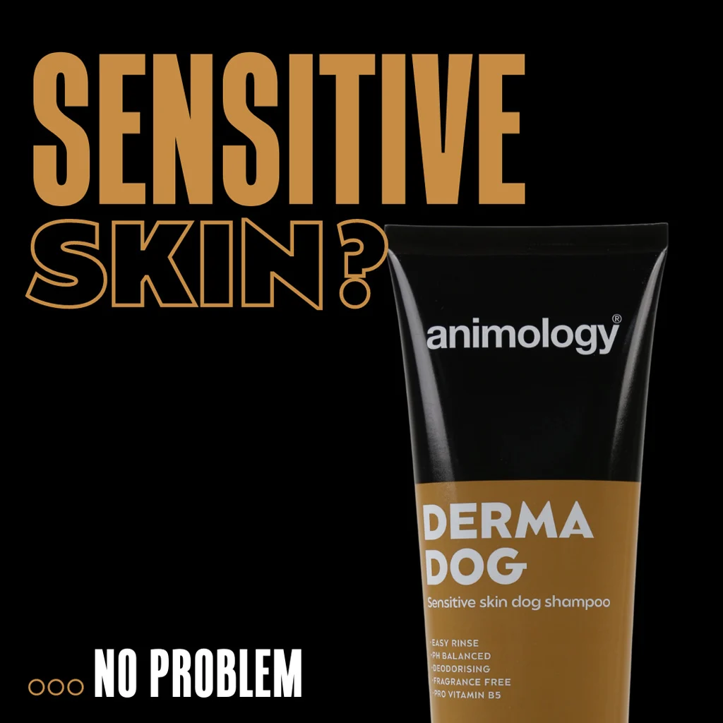 Shampooing pour chien à peau sensible, 250 ml – Animology Derma Dog Sensitive Skin – Image 2