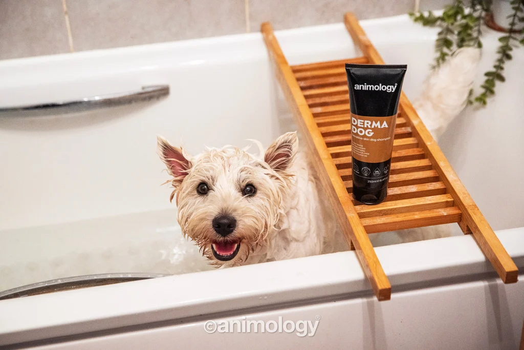 Shampooing pour chien à peau sensible, 250 ml – Animology Derma Dog Sensitive Skin – Image 3