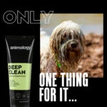 Shampooing pour chien nettoyage intensif, 250 ml – Animology Deep Clean Intensive – Image 2