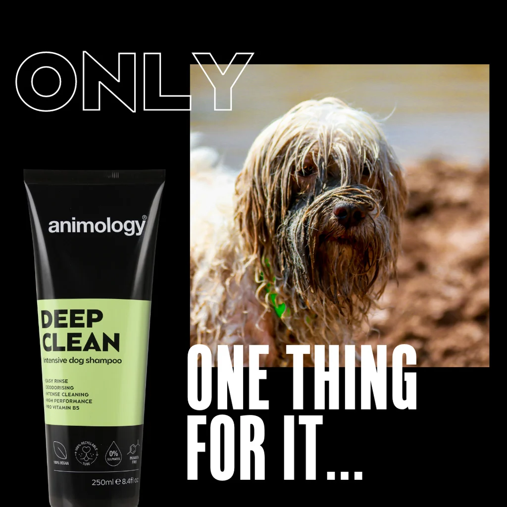 Shampooing pour chien nettoyage intensif, 250 ml – Animology Deep Clean Intensive – Image 2