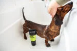 Shampooing pour chien nettoyage intensif, 250 ml – Animology Deep Clean Intensive – Image 4