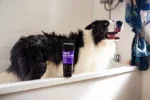 Shampooing pour chien rehausseur de couleur, 250 ml – Animology True Colours – Image 4