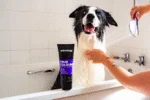Shampooing pour chien rehausseur de couleur, 250 ml – Animology True Colours – Image 5